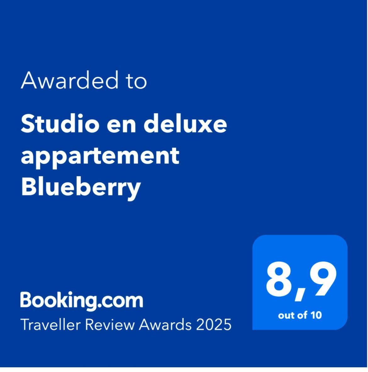 Studio En Deluxe Appartement Blueberry Zandvoort Zewnętrze zdjęcie